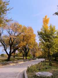 北京西山森林公園遊覽