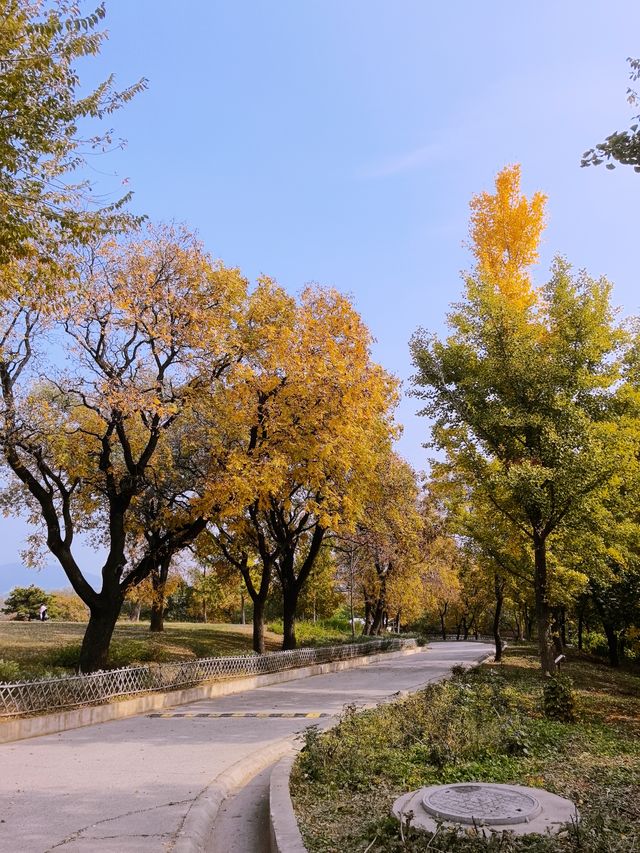北京西山森林公園遊覽