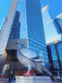 紐約中城西線超chill的city walk路線