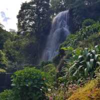 葡萄牙聖米格爾島卡爾代龍溪自然公園：自然愛好者的天堂