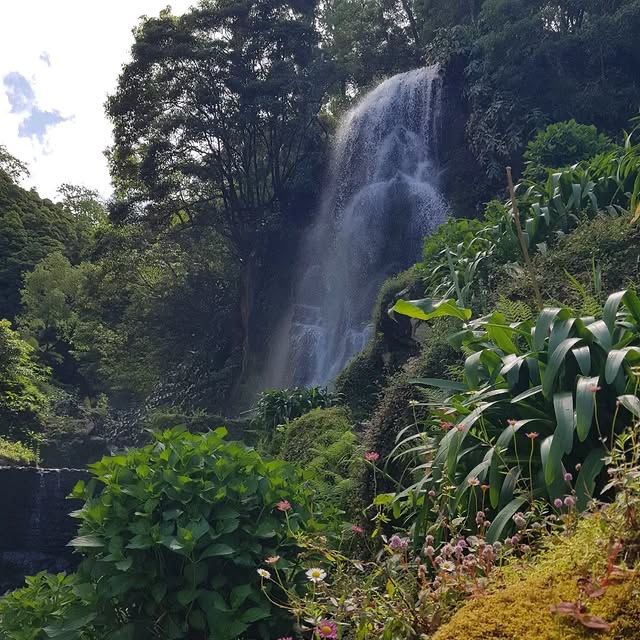 葡萄牙聖米格爾島卡爾代龍溪自然公園：自然愛好者的天堂