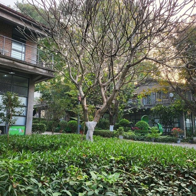 Fashion Tianhe Creative Park (时科创意园) hidden place😉 in Guangzhou  🪭❤️