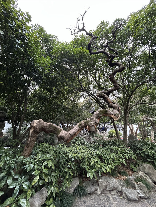 尋找春天，我選擇桂林公園，寧靜且美好