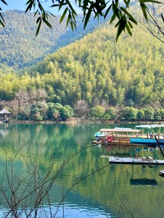 避坑指南：南山竹海門票交通防蚊全攻略，錯過會哭