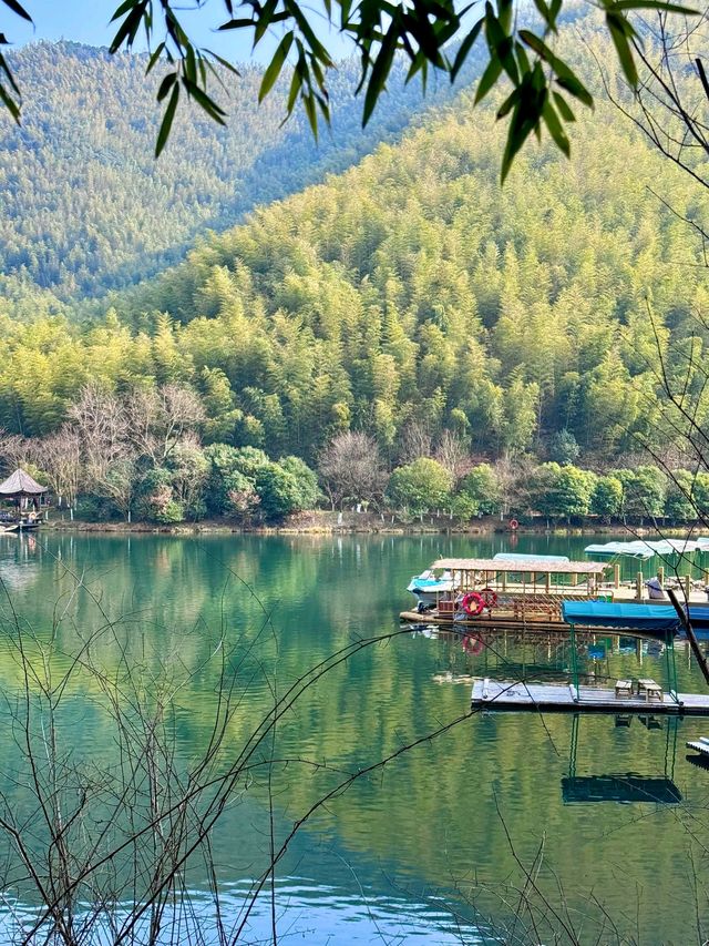 避坑指南：南山竹海門票交通防蚊全攻略，錯過會哭