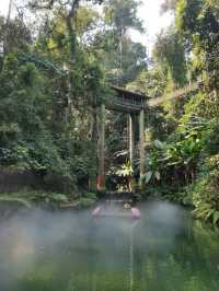 景洪5日遊 植物園探秘之旅別錯過