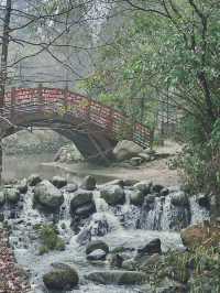 誤入現實版綠野仙蹤，邂逅修水煙雨古村