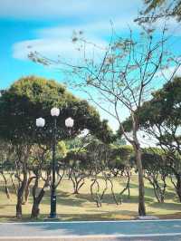 ZHONGSHAN PARK: 50 SHADES of GREEN ☘