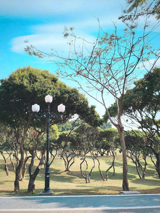 ZHONGSHAN PARK: 50 SHADES of GREEN ☘