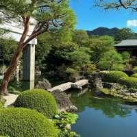 被我找到啦✨日本最美庭院——足立美術館