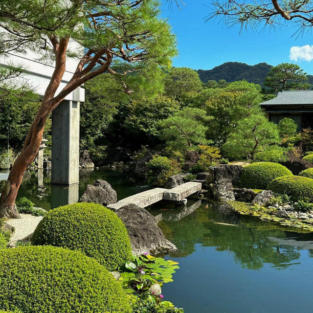 被我找到啦✨日本最美庭院——足立美術館
