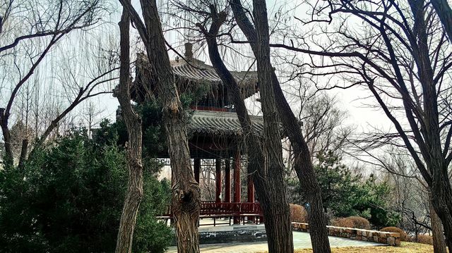 3月初的北塢公園，準備迎春了！