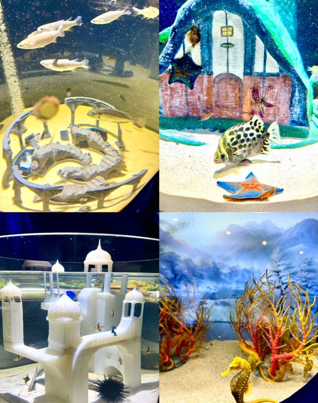 快來深圳海洋奇夢館吧