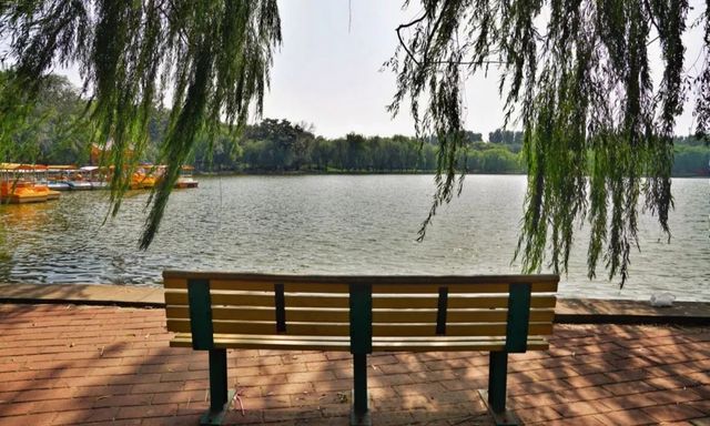廊坊市自然公園：城市中的綠色寶藏