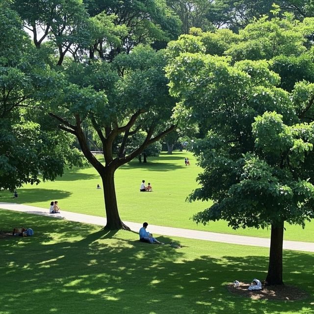 海口萬綠園 | 都市中的綠色氧吧
