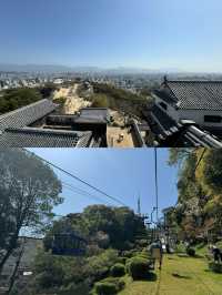 松山寶藏旅遊攻略，一篇就夠！