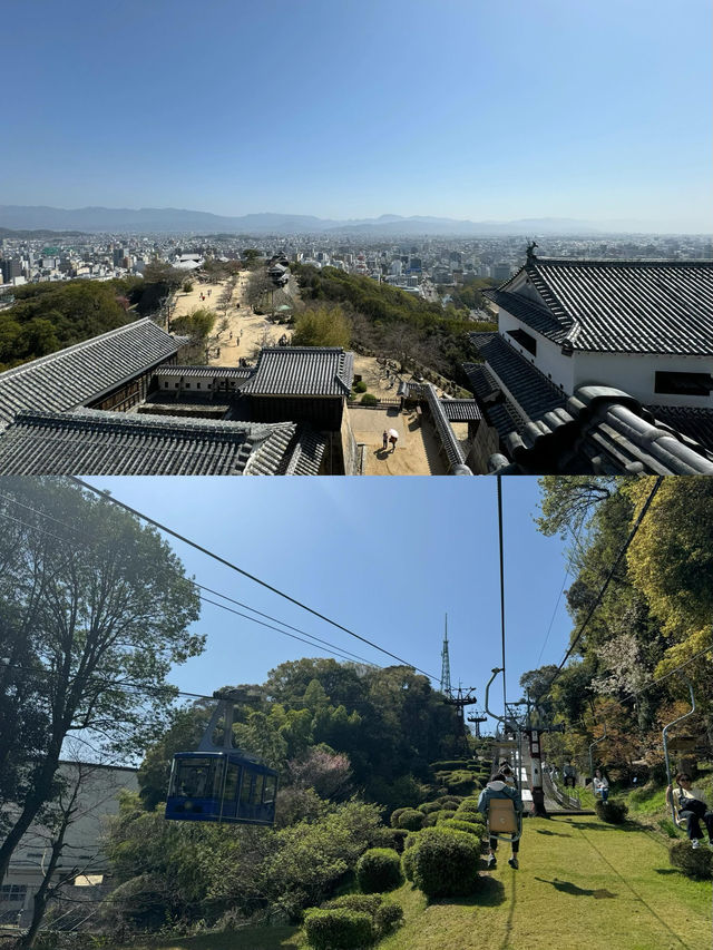 松山寶藏旅遊攻略，一篇就夠！