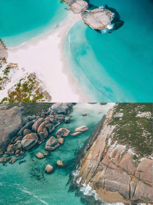 奧爾巴尼賞鯨季，開啟夢幻海洋之旅