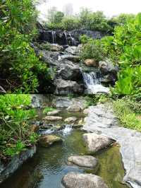香港濕地公園：徒步解鎖四季限定美景