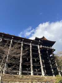 日本8日遊 人均僅4k玩轉攻略