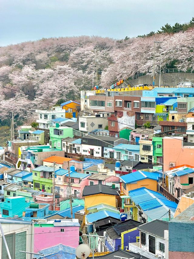 韓國釜山5日遊 人均3k全攻略
