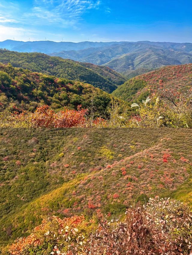 富平｜解鎖小眾寶藏旅行地