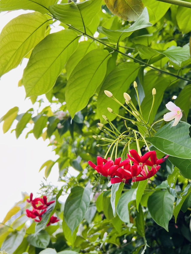 閒時浸溫泉放鬆一下心情