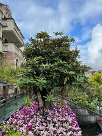 6日玩轉雲南昆明-大理市-芒市 超詳細攻略來襲