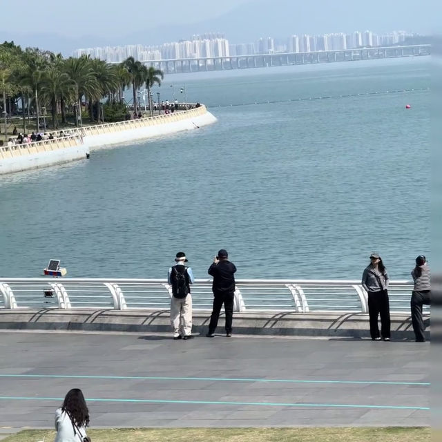 🎨深圳海上世界文化藝術中心 | 藝術與浪漫的邂逅