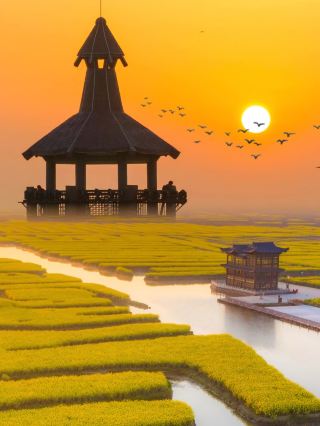 สิ่งที่ต้องเช็คในชีวิต! มณฑลเจียงซูมี "เขาวงกตสีทอง" ที่สวยงามจนไม่อาจควบคุมได้ อย่าพลาดชม