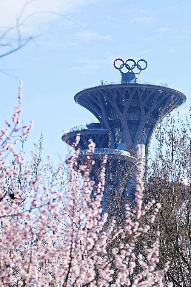 奧森桃花溝：灼灼桃花盛放，春光無限