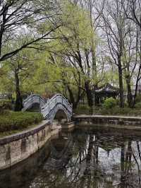 納曦雅園園林酒店｜舌尖上的旅行