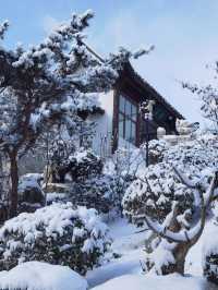 清明小長假 玩轉青島-威海-煙台全攻略