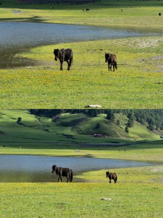 Daliang Mountains Hidden Gem · Muli · Dindon Lake
