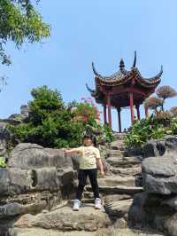 誰還不知道順德順峰山公園我會傷心的OK？