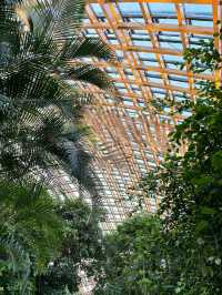 太原植物園｜週末好去處