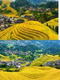 《探索龍脊梯田：四季變幻的絕美山水詩畫》