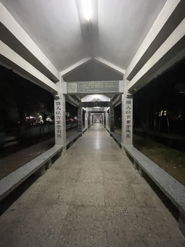 陽春名樹公園文化長廊散步攻略｜傍晚的微風與詩意🌿🌇