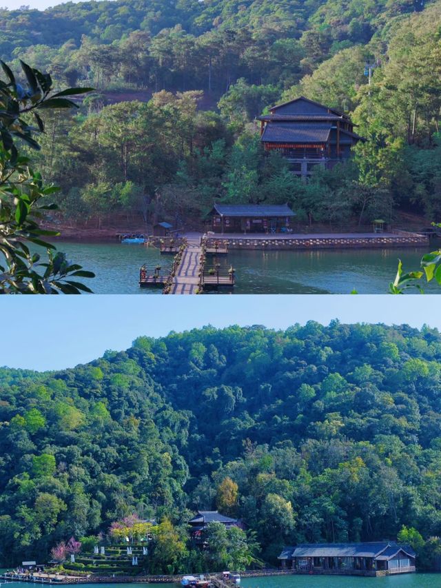 穿越千年的茶馬古道，探尋雲南的神秘之旅