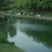 深圳中心公園 | 城市裡的悠然桃源