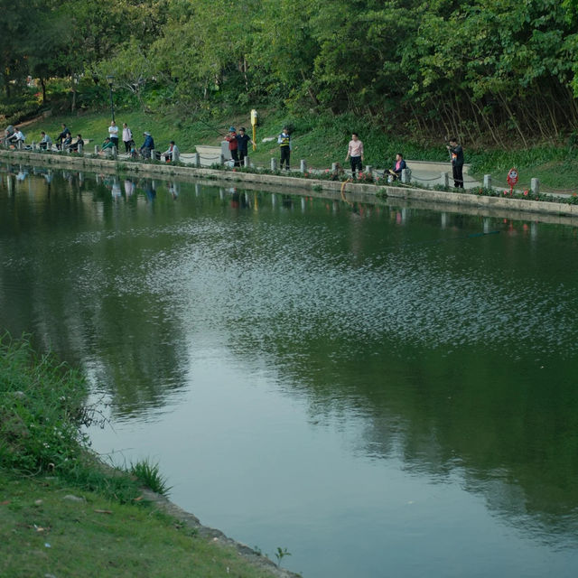 深圳中心公園 | 城市裡的悠然桃源