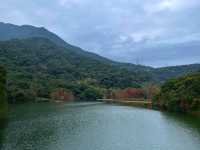 挖到寶了！深圳恩上水庫公園超絕攻略