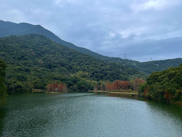 挖到寶了！深圳恩上水庫公園超絕攻略