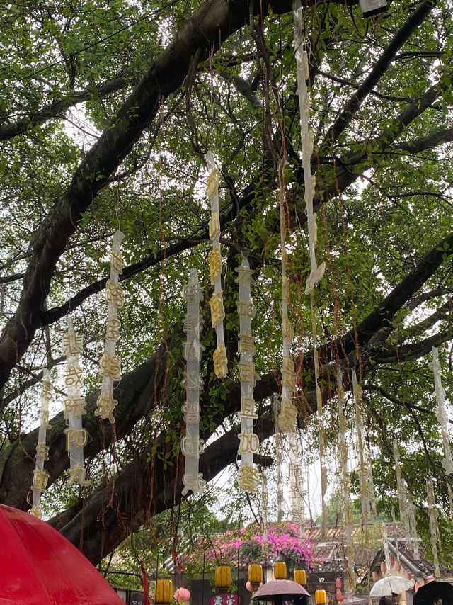 東莞都有小江南🎋  