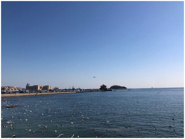 48 小時暢覽海濱風光之旅