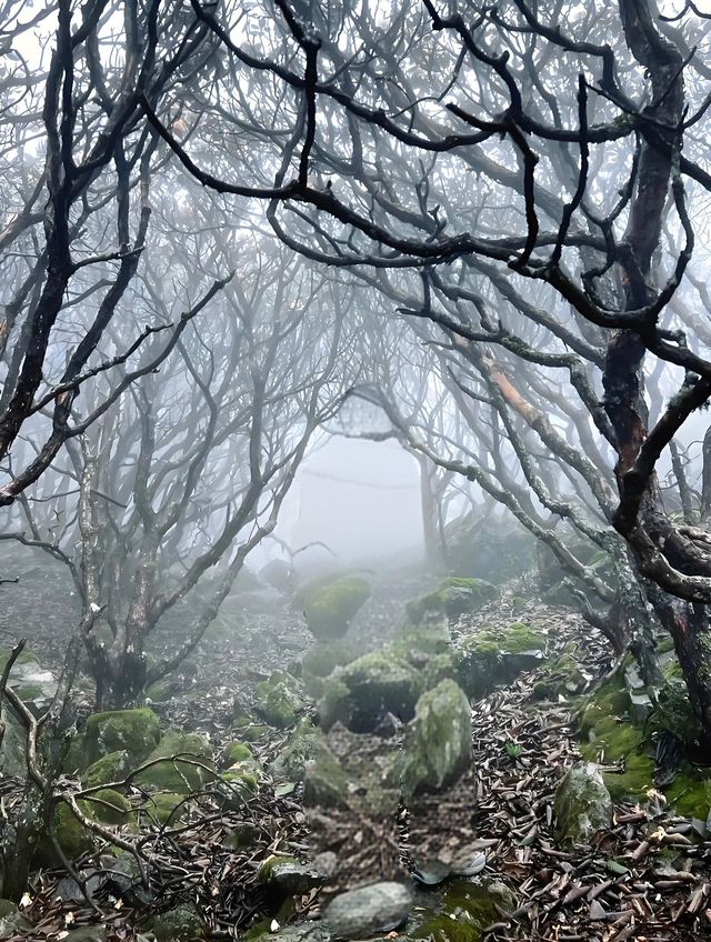 西昌小相嶺徒步 |花海墨湖·彝寨煙火