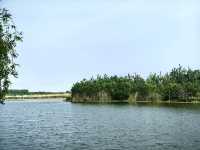環遊巢湖