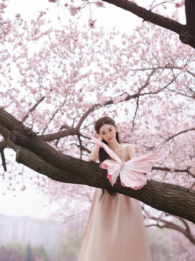 這麼美的梅花在長春。
