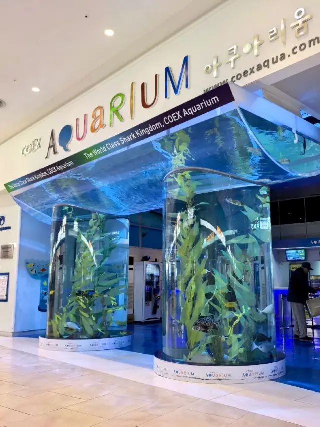 바다 깊은 곳의 꿈