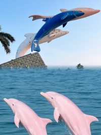 中華白海豚 & 鯨魚旅遊指南